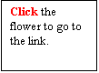 Text Box: Click the flower to go to the link.