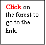 Text Box: Click on the forest to go to the link.