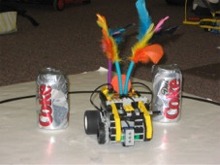 Robot